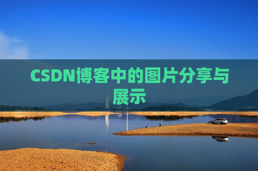 CSDN博客中的图片分享与展示